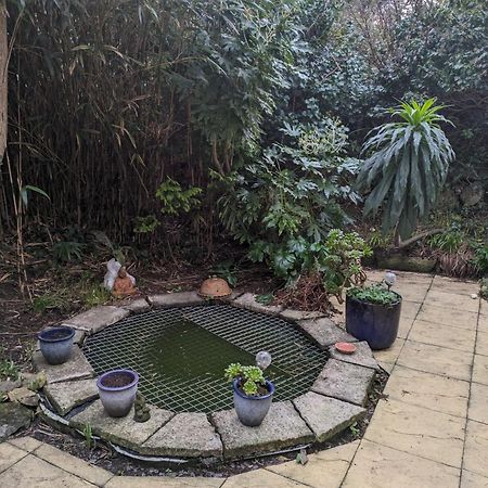 The Garden Apartment St Ives  Luaran gambar