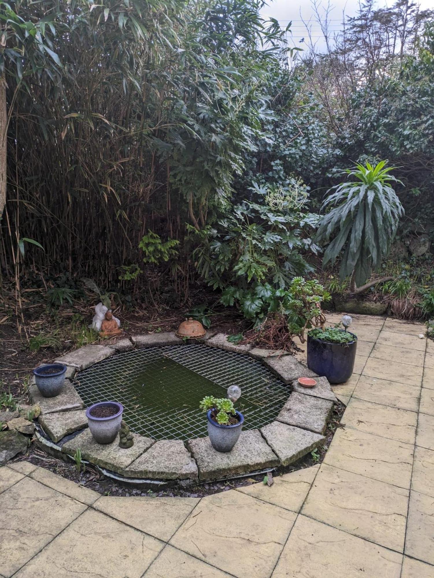 The Garden Apartment St Ives  Luaran gambar